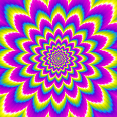 Colorful rainbow flower blossom. Optical expansion illusion.