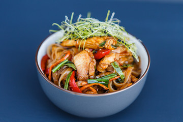 Plate of wok chiken noodles on the dark background