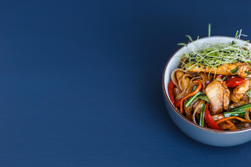 Plate of wok chiken noodles on the dark background