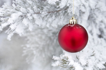 Christmas decorations on the pine branch