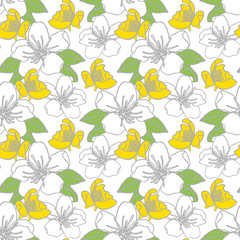 Seamless pattern with hand drawn flowers on white background. Vector illustration.