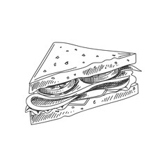 vector hand drawn sandwich Illustration