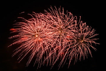 Fireworks In the night sky in Szczecin during the fireworks' holiday.