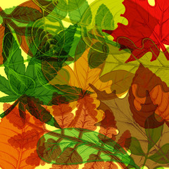 Background of hand drawn colorful autumn leaves. Natural pattern.