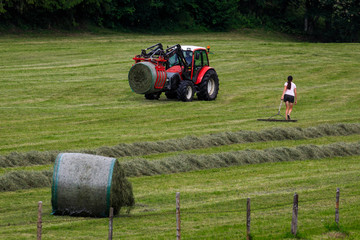 Traktor auf dem Feld bei der Heuernte
