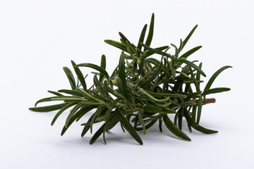 Rosemary branches isolated on white background