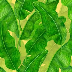 Stickers pour porte Vert Motif harmonieux d& 39 aquarelle avec des feuilles de bananier.