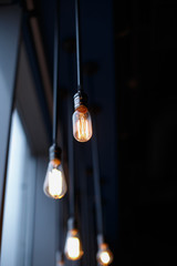 Stylish retro light bulbs on the black wire 