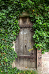 Forgotten and overgrown old door, lined with rusty iron