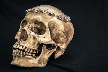 Still life with a human skull with the old, in with the diamond and jewelry