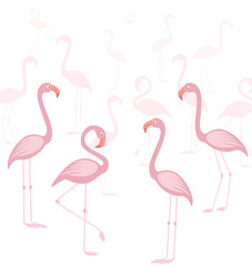 Vector illustration of a pink flamingo. Tropical bird flamingos