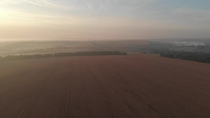 Dawn in the field. Fog over the field.
