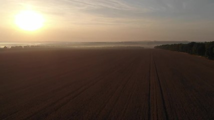 Dawn in the field. Fog over the field.