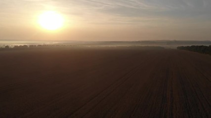 Dawn in the field. Fog over the field.
