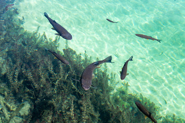 Plitvice National Park, Croatia