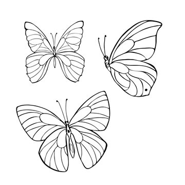 Set of silhouette butterflies isolated on white background. hand drawn vector illustration.