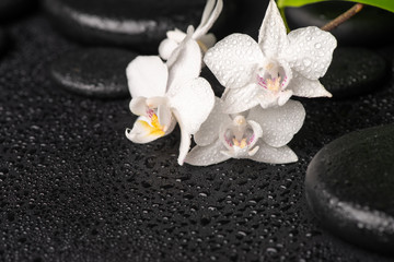 Naklejka na ściany i meble spa concept of zen stones, white orchid