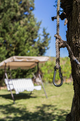 Tree in front of a swing in the garden