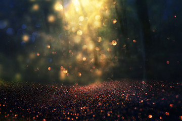 blurred abstract photo of light burst among trees and glitter golden bokeh lights. - obrazy, fototapety, plakaty