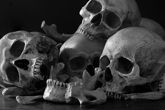 Pile of skulls and bones put on dark wooden plank which has dim light and the dark wall background