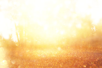 blurred abstract photo of light burst among trees and glitter golden bokeh lights.