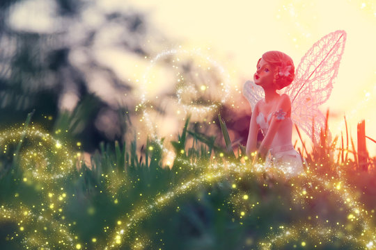 Fototapeta image of magical little fairy in the forest at sunset.