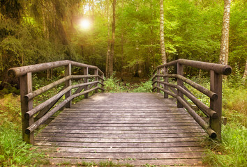 Obraz premium Wooden Bridge in the forest at the sunset inEstonia