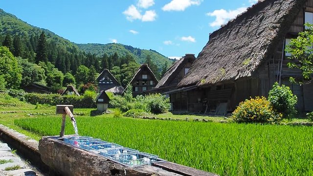 岐阜県　夏の白川郷