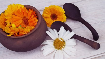 Medicinal herbs calendula and chamomile in a pot on a wooden background.