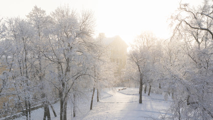 Yusupovsky Park in the early winter morning covered with snow and hoarfrost