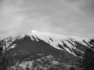 Black and White winter landscapes