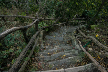 Nature Stairs