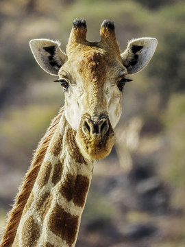 Namibia