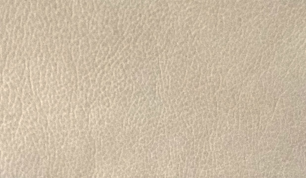Cream Leather
