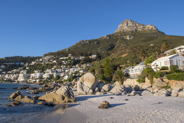 Cape Town Clifton beach lions head