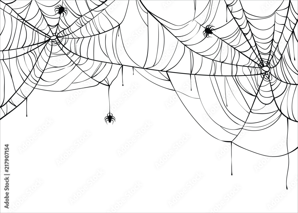 Wall mural halloween spiderweb vector background with spiders, copy space. cobweb backdrop illustration isolate