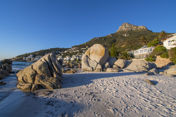 Cape Town Clifton beach lions head