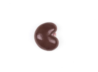 human kidney isolated on white background