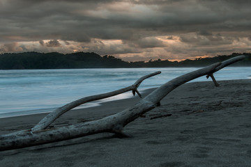 Fototapeta na wymiar Driftwood on sand beach with cloudy sunset in background