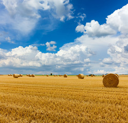 Fototapeta premium Yellow golden straw bales of hay in the stubble field, agricultural field under a blue sky with clouds