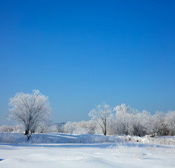Winter landscape.