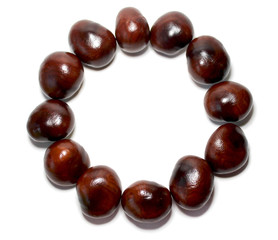 seeds of dark chestnut seeds on a white background that are arranged in the form of a circle