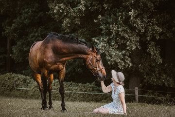 Pferd