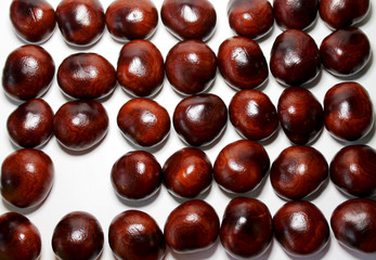  a scattering of dark chestnut seeds on a white background that stand in several rows and are dense to each other