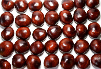 placer of chestnut seeds in a row on a white background where one chestnut is missing, free space