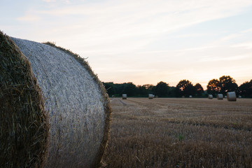 Strohballen