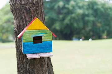 Creative handmade of wooden birdhouse on the tree in park, Painting colorful on wooden home of bird.