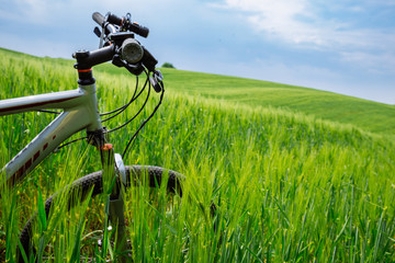 Fototapeta na wymiar bicycle wheel close up in green grass