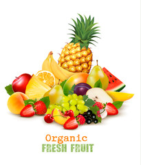 Big collection of different organic fresh fruit. Vector.
