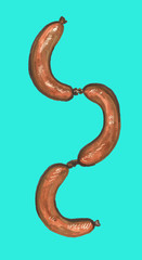 Hand drawn sausage food meat